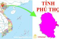 Top 12 phú thọ ở đâu mới nhất năm 2022 - EU-Vietnam Business Network (EVBN) Common Mistakes To Avoid When Investing In Mutual Funds